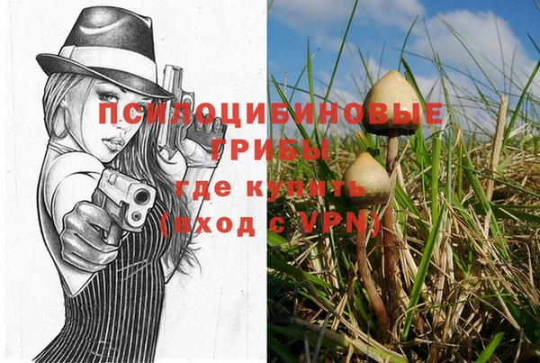 хмурый Армянск