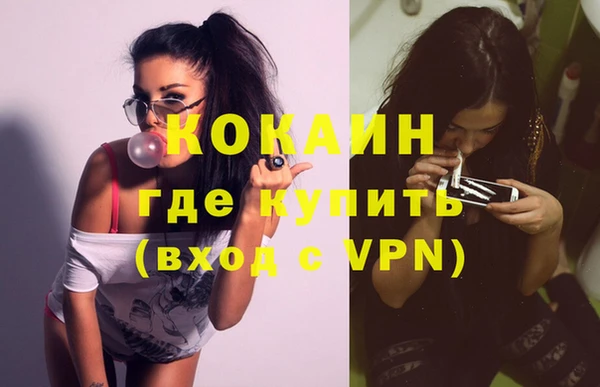 индика Аркадак