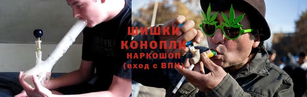 индика Аркадак