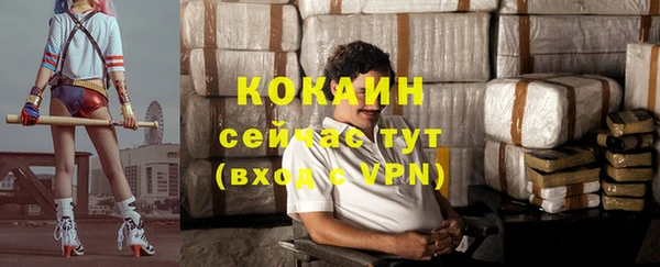 индика Аркадак