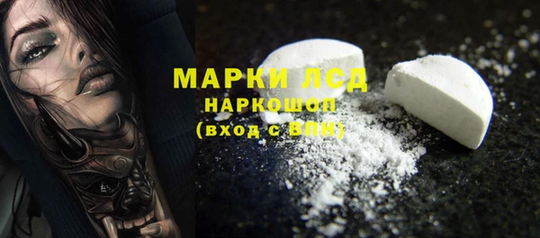 индика Аркадак