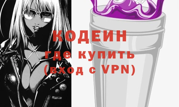 индика Аркадак
