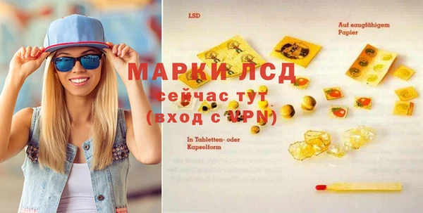 индика Аркадак