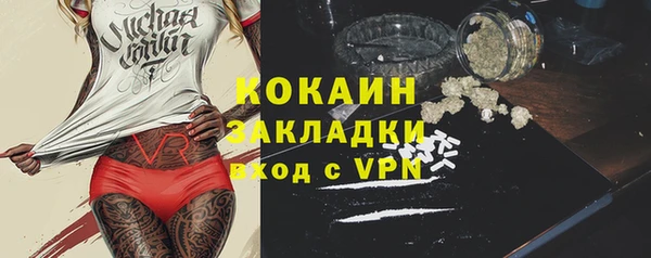 индика Аркадак
