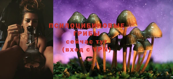 ECSTASY Арсеньев