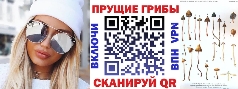 ссылка на мегу tor  Покров  Галлюциногенные грибы мухоморы 